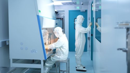 Cell Engineering CMC services
