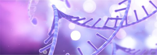 mRNA and LNP