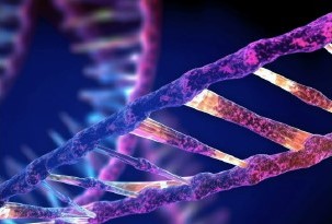 Vector Construction & Plasmid Service Featured Image