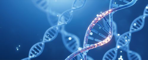 Vector Construction & Plasmid Service